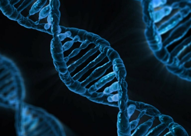 DNA Sequencing and a New Generation of Biotech and Genetics Startups