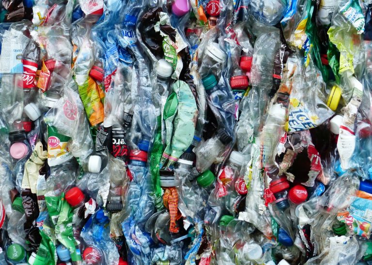 Can a novel enzyme help fight plastic pollution?